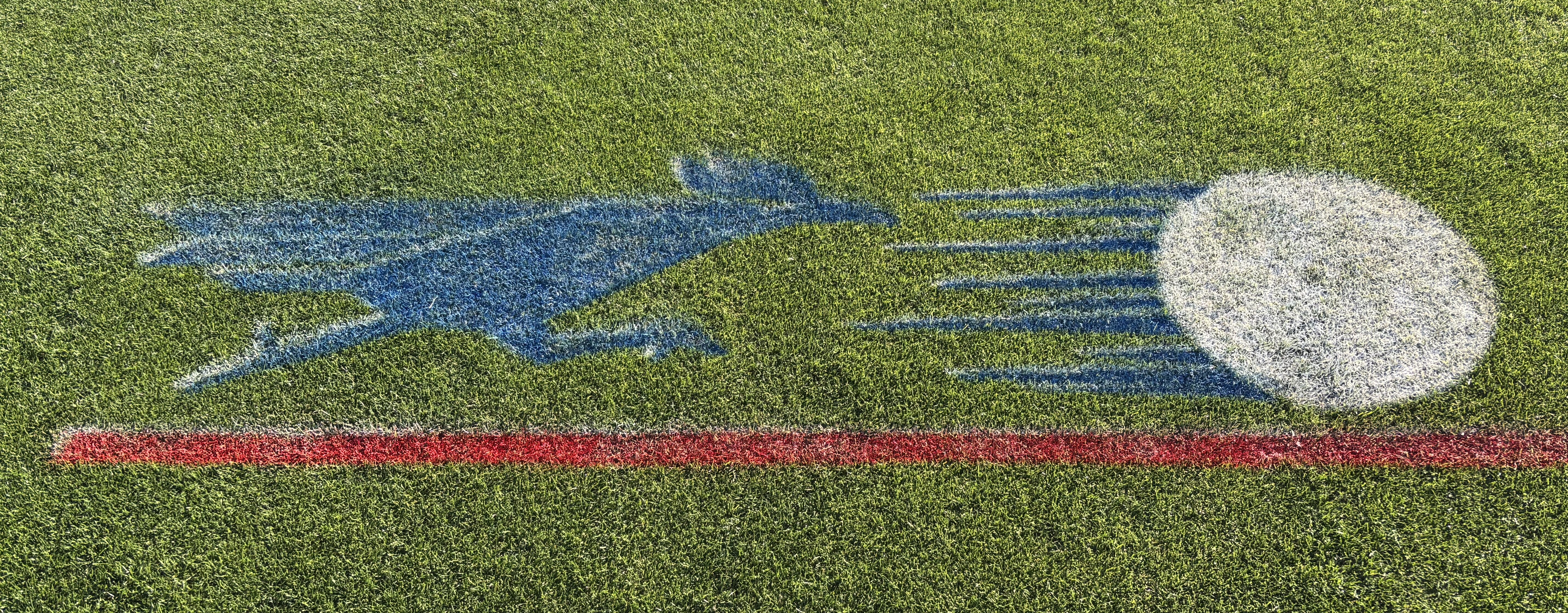 RR Logo on Grass